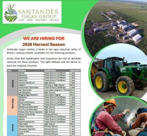 Job opportunities open as Santander Sugar prepares for upcoming harvest