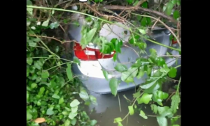 Abandoned car discovered in bushes near Guinea Grass Junction