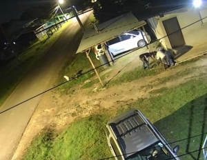 Chain cut, but thieves fail to steal motorcycle in Belmopan