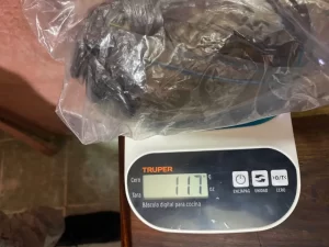 Teen detained after police seize 117 grams of suspected cannabis