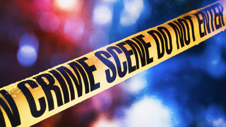 88-year-old stabbed during farm dispute in Orange Walk