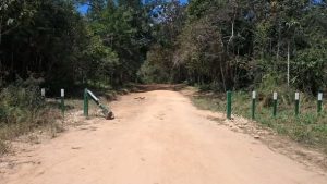 648073167_1358162913008973_8928627359569371320_n