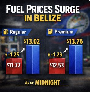 Opposition warns fuel prices will drive up cost of living