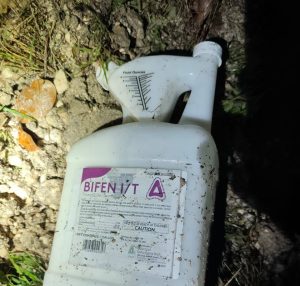 662608692_1378185954340002_3809969611788848661_n