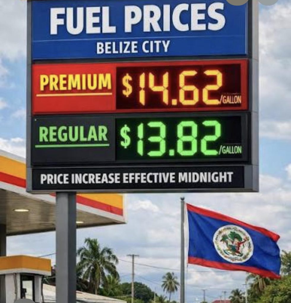 Opposition leader slams government silence over surging fuel costs