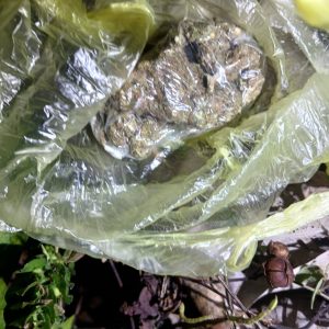 670384902_1389212916570639_8954660736873629373_n