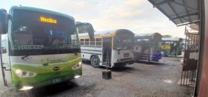 677545465_1425957842885329_5675607252461266938_n