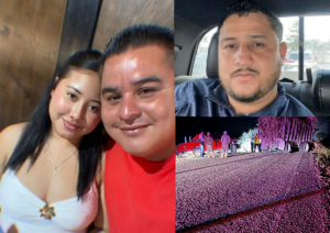 Screenshot 2026-04-20 123014