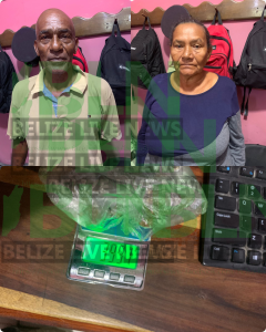 Two Elderly Residents of Guinea Grass Charged for Drug Offenses