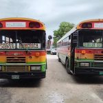 vlcsnap-2026-04-02-14h33m18s467