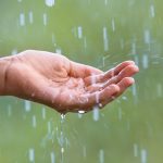 34839005 - water droplets falling into the hand