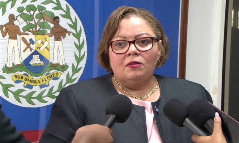 UDP slams government as Belize reels from deadly violence