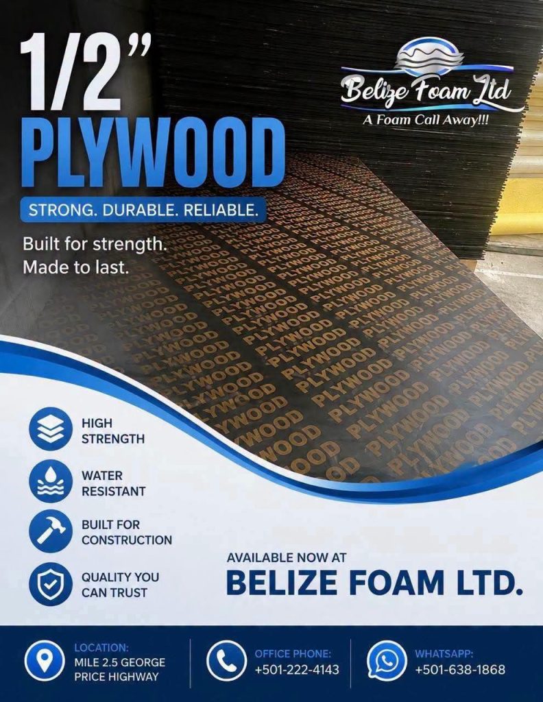 Rainy season, storm season, building season: Belize Foam has the plywood for all three
