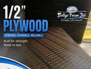 Rainy season, storm season, building season: Belize Foam has the plywood for all three
