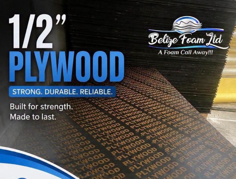 Rainy season, storm season, building season: Belize Foam has the plywood for all three