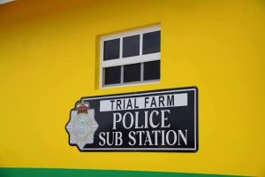 Two women, one man, and a police report