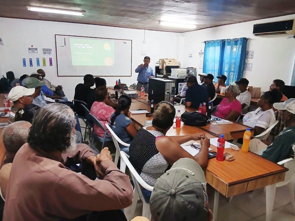 Belize cattle ranchers train for a greener, more profitable future