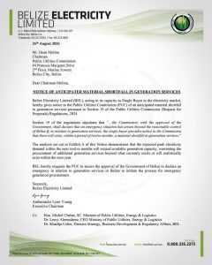 BEL warns demand will outstrip supply over the next year