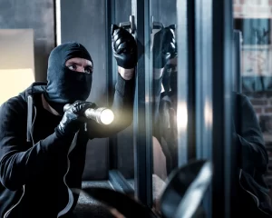 Store burglary gets wild as thieves steal electronics, alcohol and ground beef