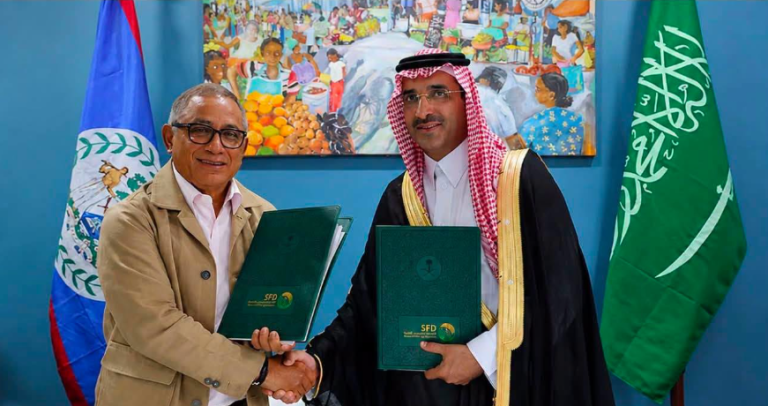 What the $77 million Saudi solar loan means for your electricity