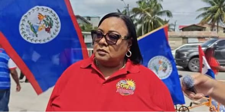 UDP hit by two executive resignations ahead of municipals