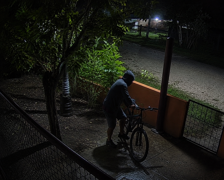Owner watches from parked car as man mounts his bike