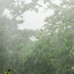 Up to 4 inches possible as tropical wave drenches Belize