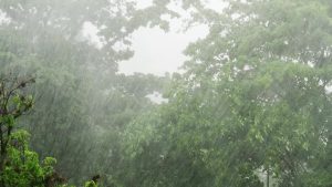 Up to 4 inches possible as tropical wave drenches Belize