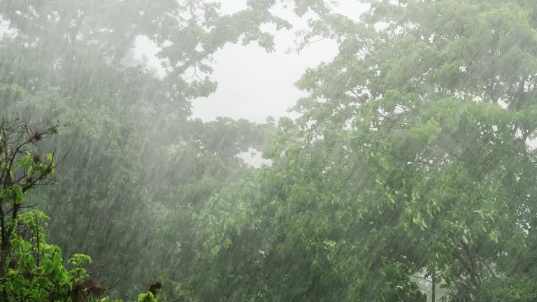 Up to 4 inches possible as tropical wave drenches Belize