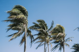 Belize stays bright and breezy with little rain in sight
