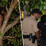 Teen escapes police custody through clinic window, found in tree