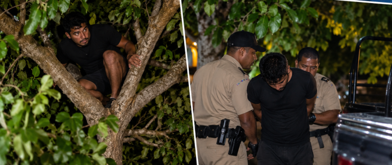 Teen escapes police custody through clinic window, found in tree