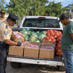 Oxtail, cabbage and onions found during police operation near Blue Creek Dam