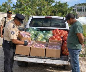 Oxtail, cabbage and onions found during police operation near Blue Creek Dam