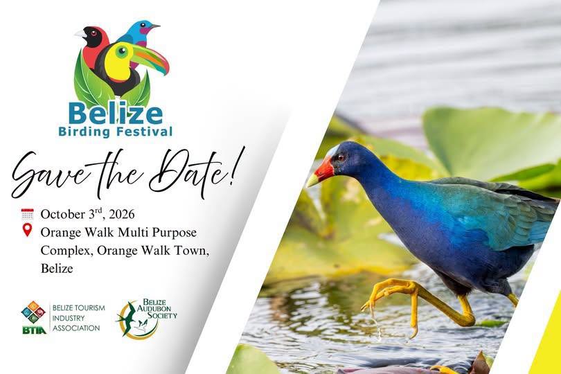 Bird lovers flock to Orange Walk for Belize Birding Festival