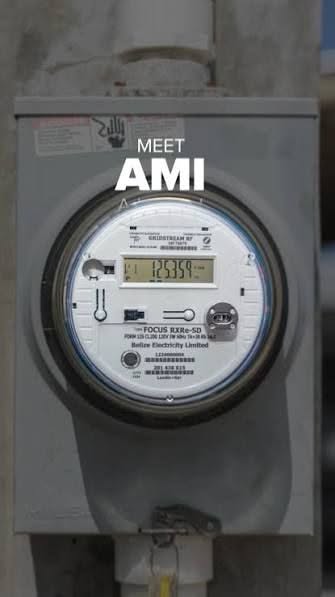 45,000 homes now have BEL smart meters