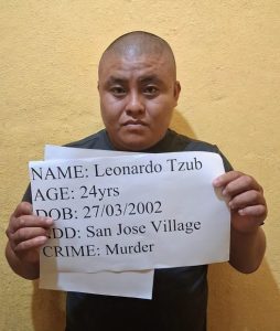 Son charged with murder after father chopped to death in Toledo