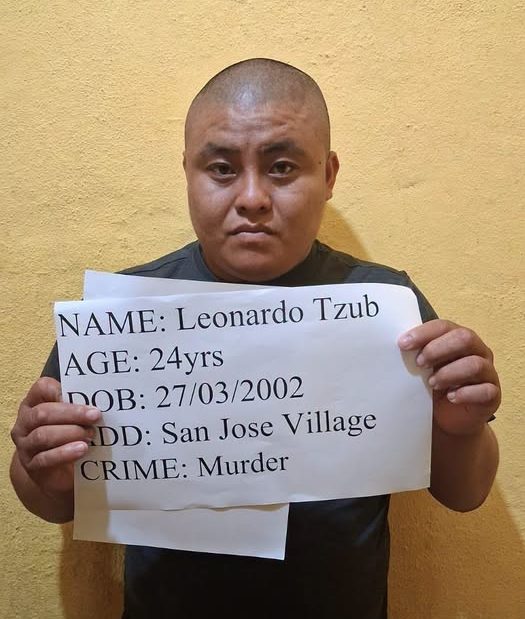 Son charged with murder after father chopped to death in Toledo