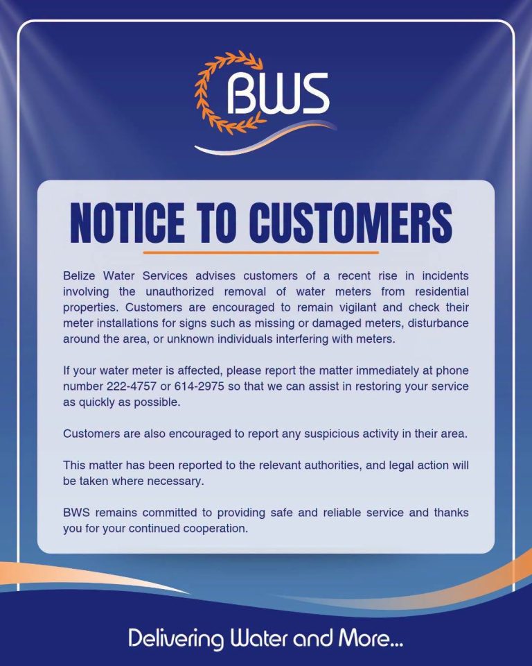 Check your meter: BWS alerts customers to theft
