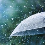 North to see more showers Thursday