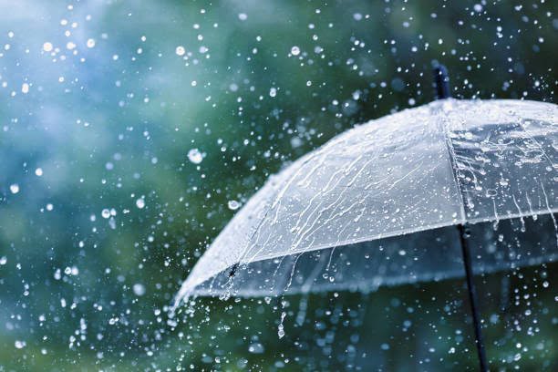 North to see more showers Thursday