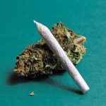 Police search for guns and drugs ends with cannabis discovery across the road