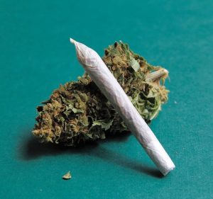 Police search for guns and drugs ends with cannabis discovery across the road
