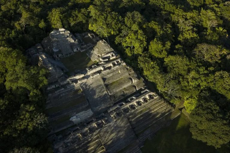 Ancient Belize Maya city of Caracol was home to over 100,000 people, Smithsonian reveals